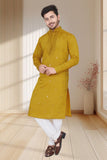 EMBROIDERED & SEQUIN KURTA