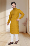 EMBROIDERED & SEQUIN KURTA